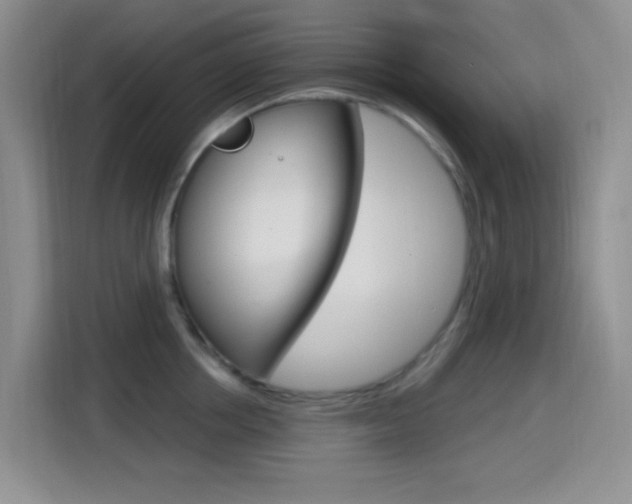 X0000114650858200910200959