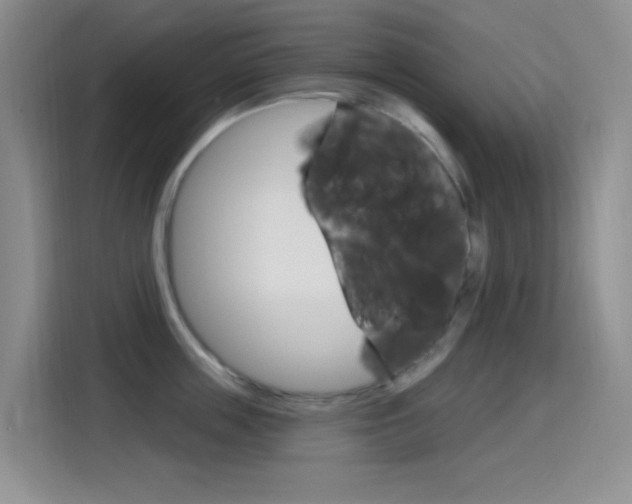X0000114650859200910200959