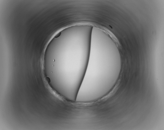 X0000114650860200910200959
