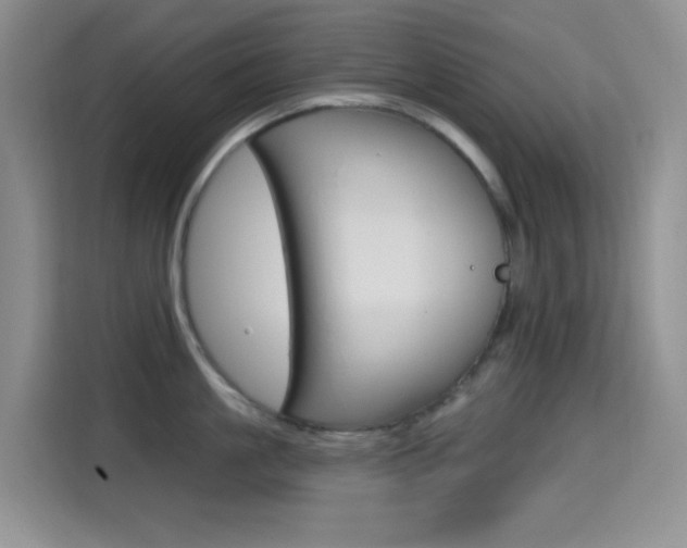 X0000114650861200910200959