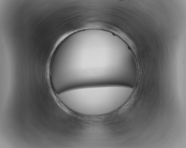 X0000114650862200910200959
