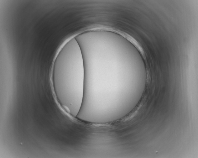 X0000114650863200910200959