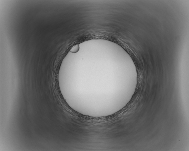 X0000114650865200910200959