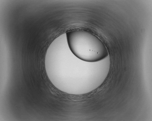 X0000114650868200910200959