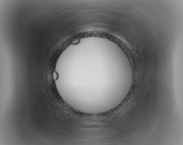 X0000114650869200910200959