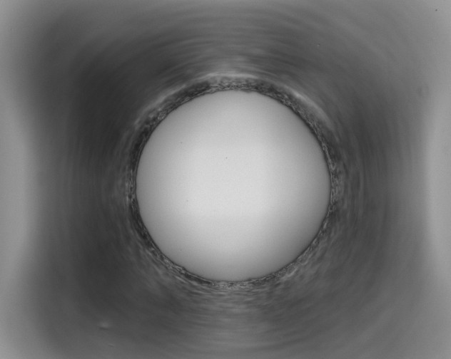 X0000114650870200910200959