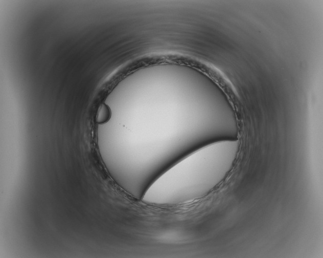X0000114650871200910200959