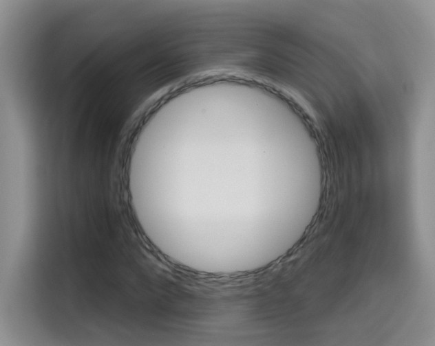 X0000114650872200910200959