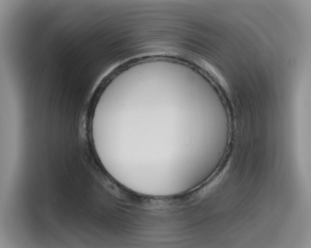 X0000114650875200910200959