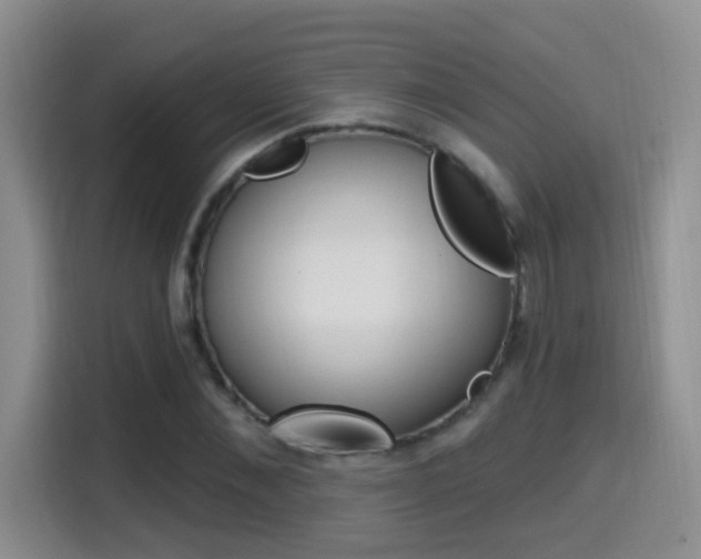 X0000114650876200910200959