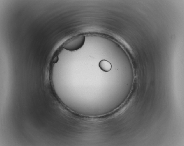 X0000114650877200910200959