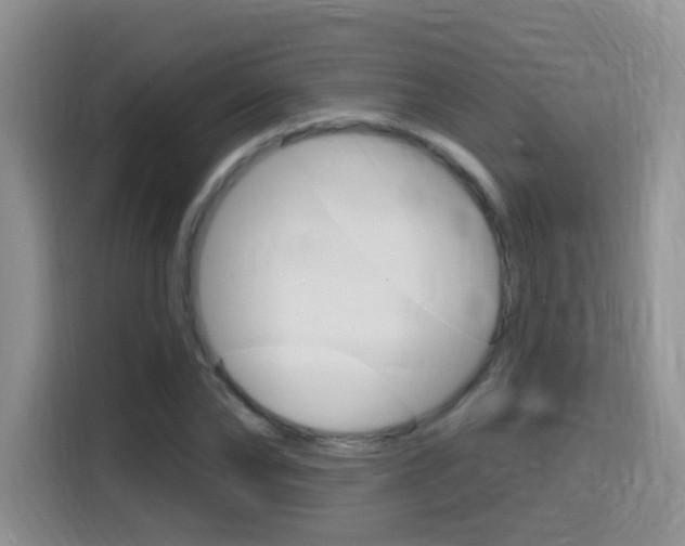 X0000114650878200910200958