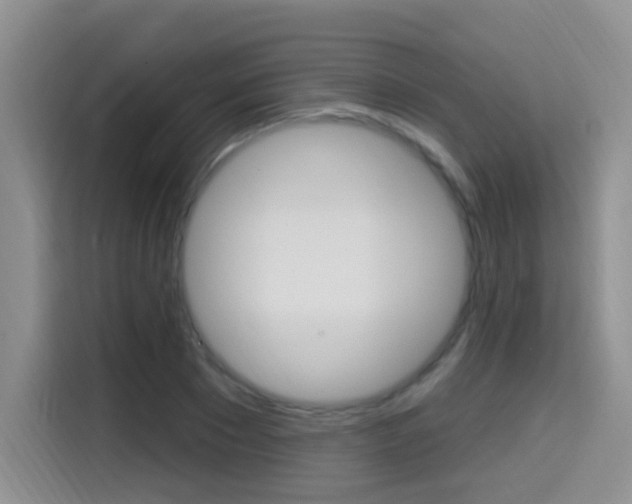X0000114650881200910200958