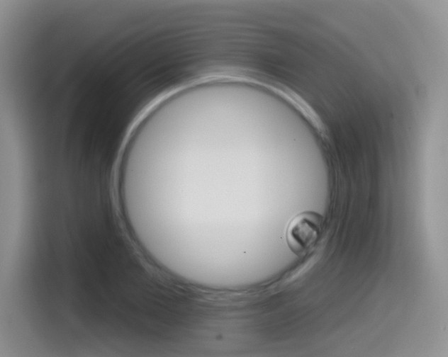 X0000114650885200910200958