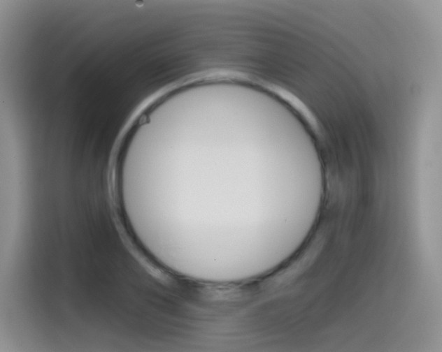 X0000114650886200910200958