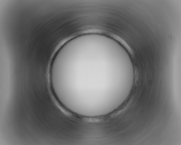 X0000114650890200910200958