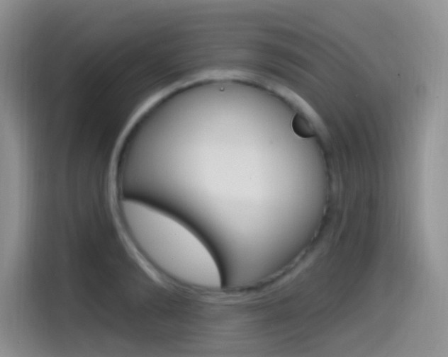 X0000114650894200910200958