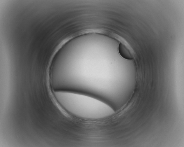 X0000114650898200910200958