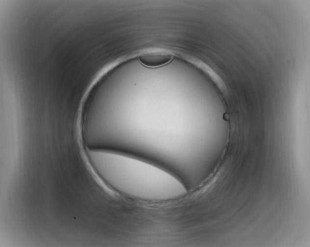 X0000114650902200910200958