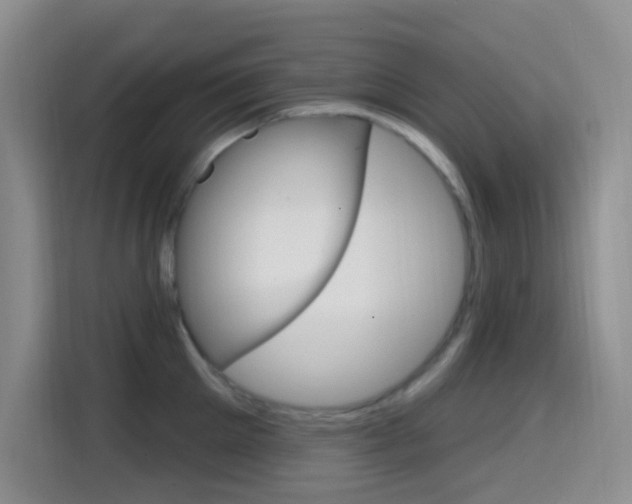 X0000114650905200910200958
