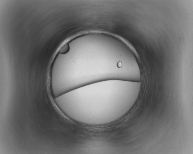 X0000114650911200910200958