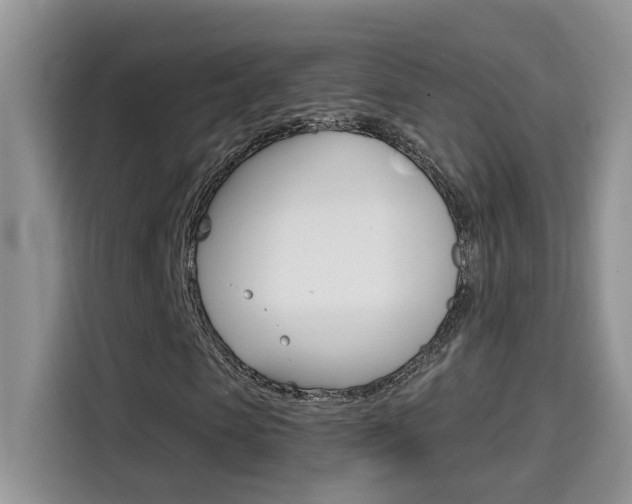 X0000114650913200910200957