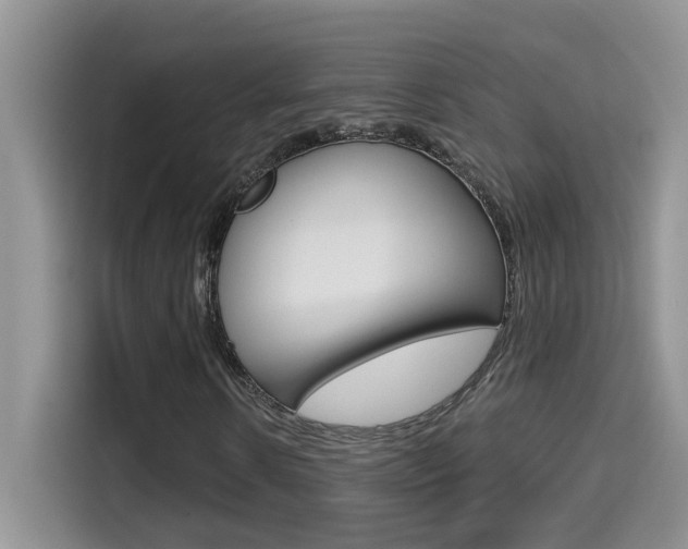 X0000114650914200910200957