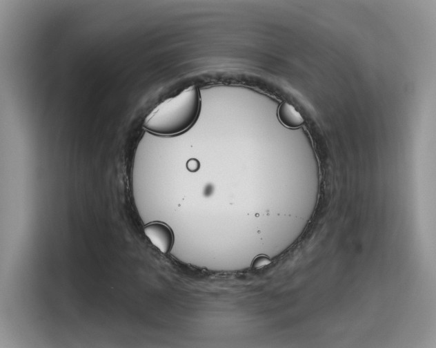 X0000114650918200910200957