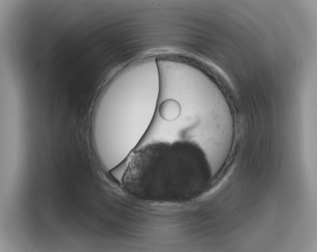 X0000114650921200910200958