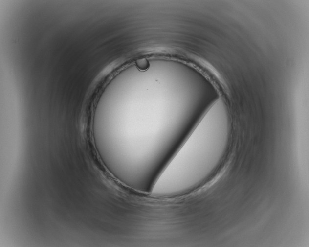 X0000114650922200910200958