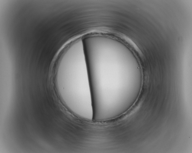 X0000114650923200910200958