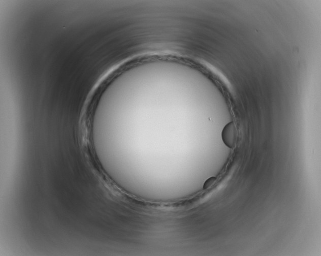 X0000114650925200910200958