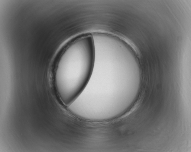 X0000114650926200910200958