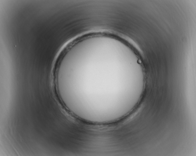 X0000114650927200910200958