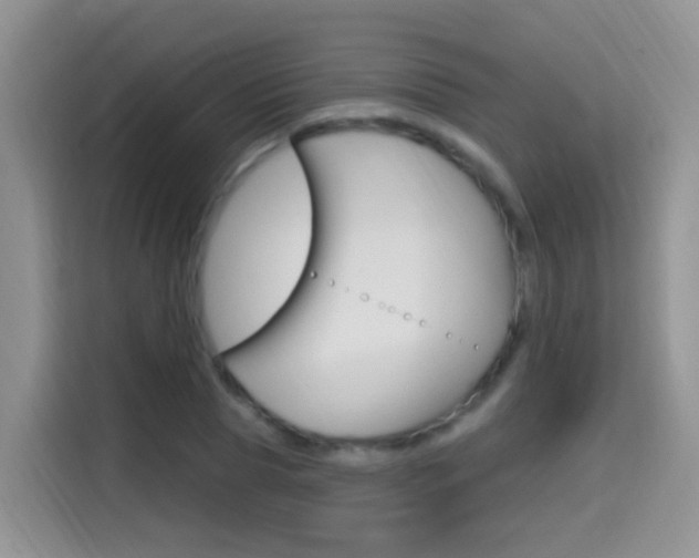 X0000114650929200910200958