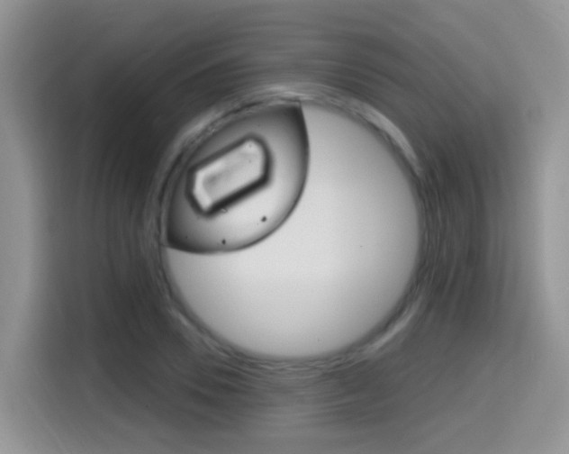 X0000114650930200910200958