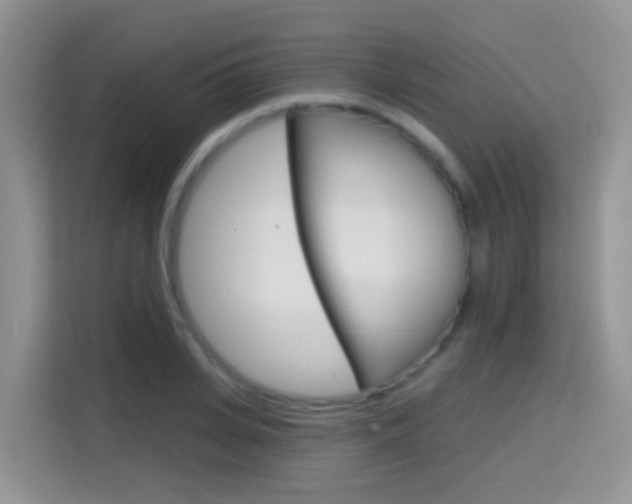 X0000114650935200910200958