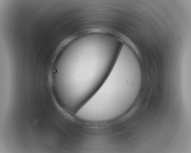 X0000114650938200910200958