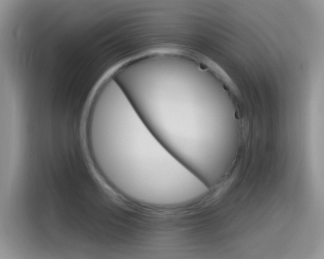 X0000114650939200910200958