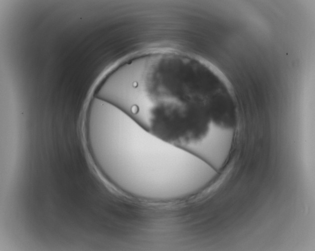 X0000114650941200910200958