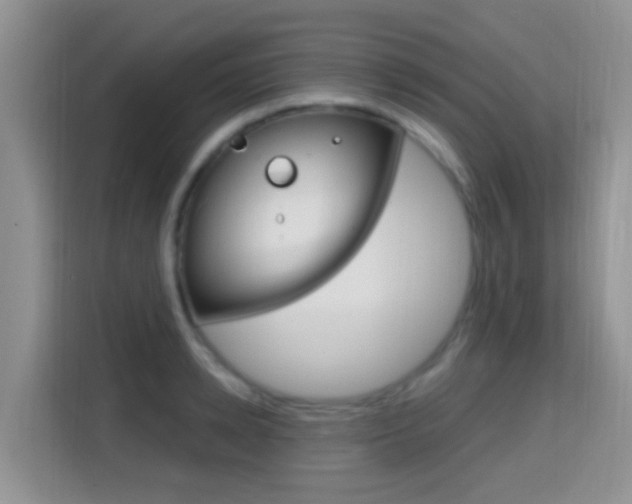 X0000114650942200910200958