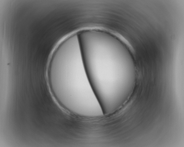 X0000114650943200910200958