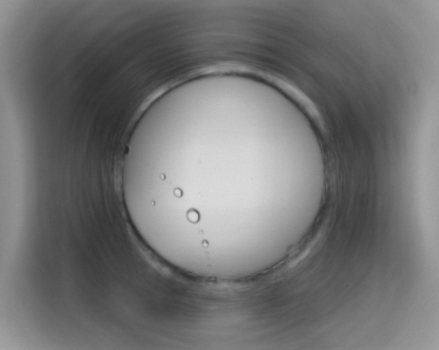 X0000114650945200910200958