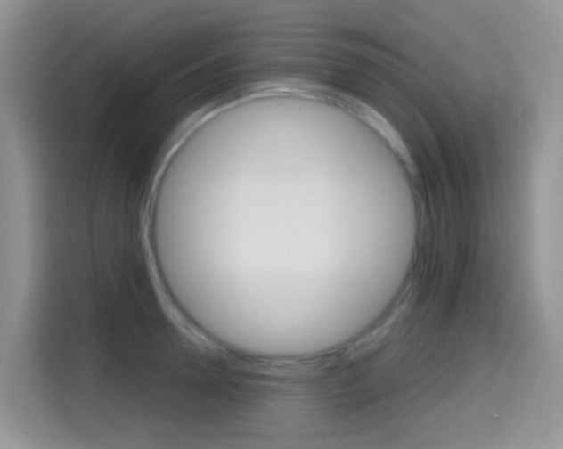 X0000114650946200910200958