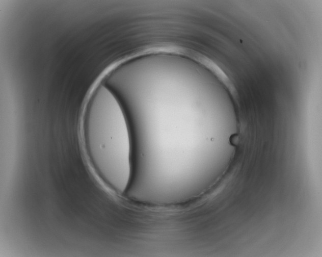 X0000114650947200910200958