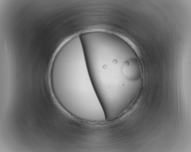 X0000114650949200910200958