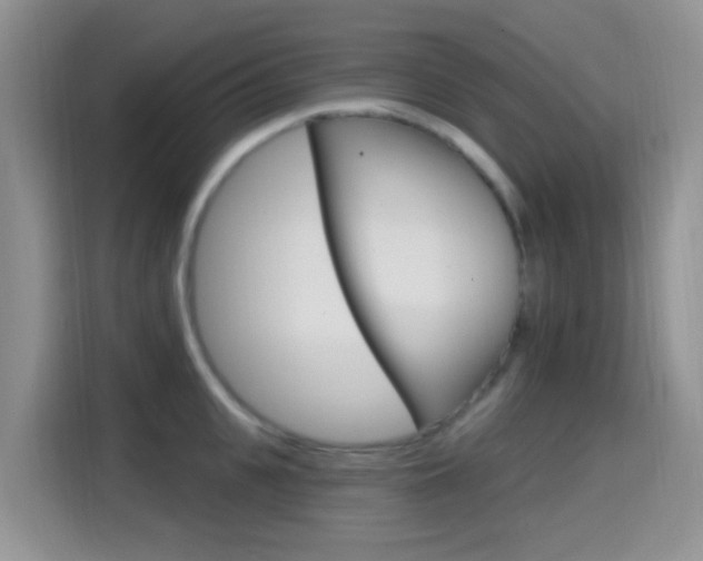 X0000114650951200910200958