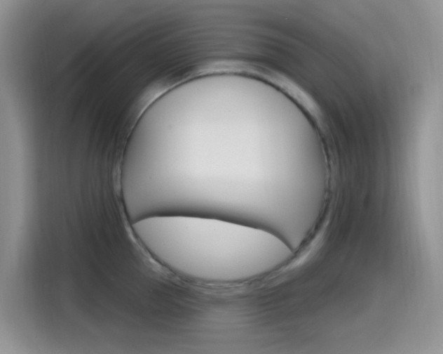 X0000114650953200910200958