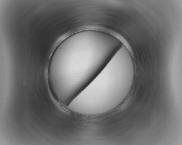 X0000114650954200910200958