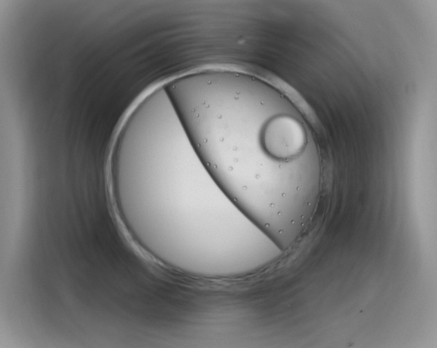 X0000114650955200910200958